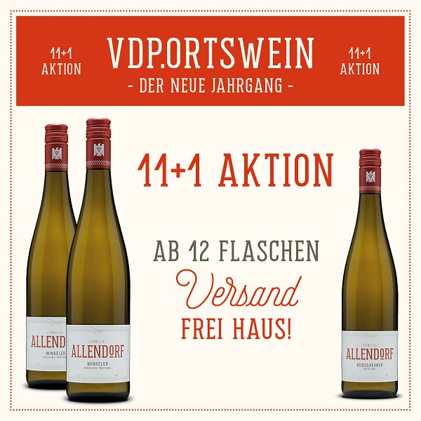 VDP.Ortswein Paket 11 +1 aus Rüdesheim